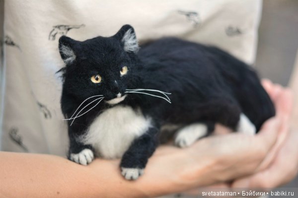 А мышки уже приготовились к школе (фото 5)