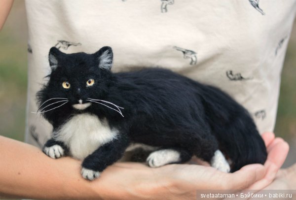 А мышки уже приготовились к школе (фото 4)