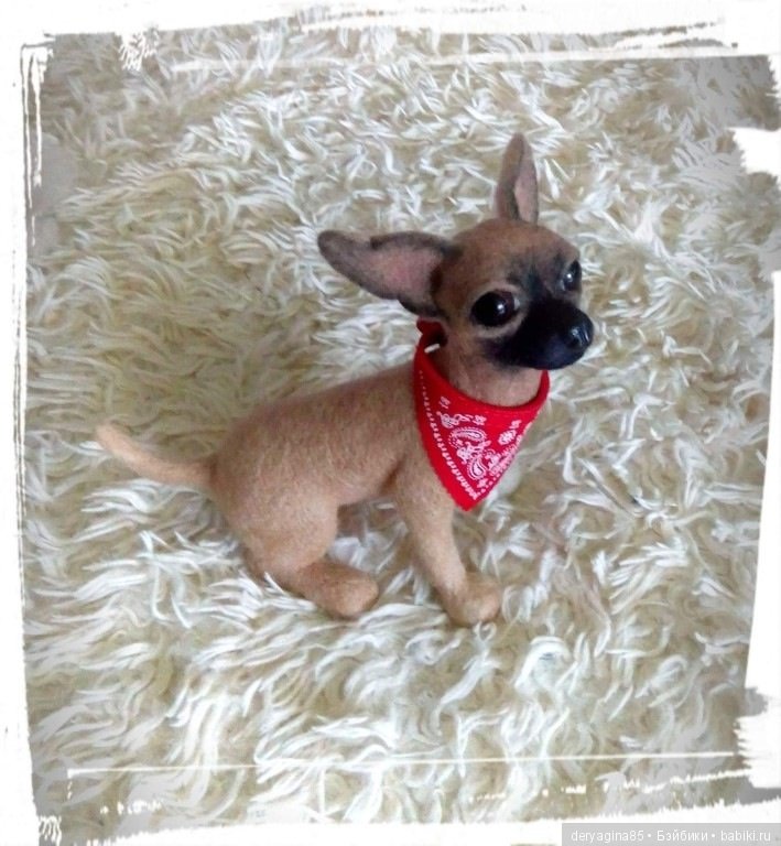 Чихуашка — Валяные игрушки из шерсти: сухое валяние (фото 5)