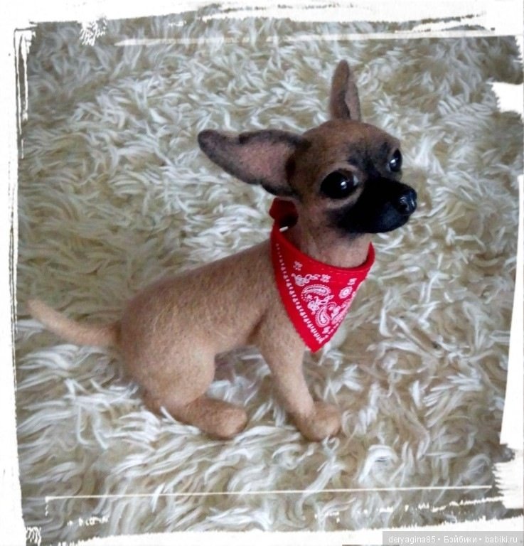 Чихуашка — Валяные игрушки из шерсти: сухое валяние