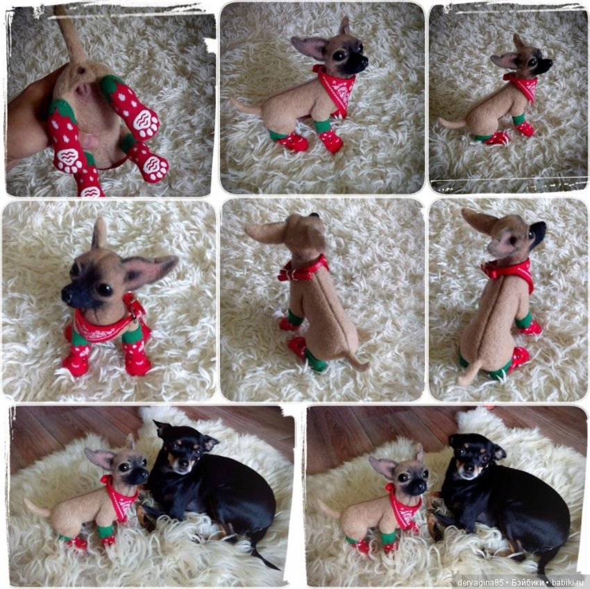 Чихуашка — Валяные игрушки из шерсти: сухое валяние (фото 6)