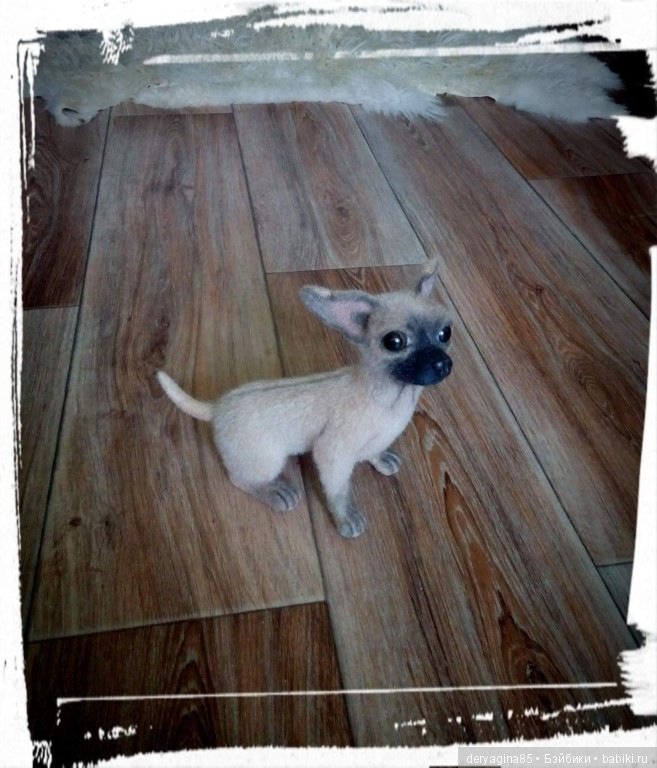 Чихуашка Ляля — Валяные игрушки из шерсти: сухое валяние (фото 9)