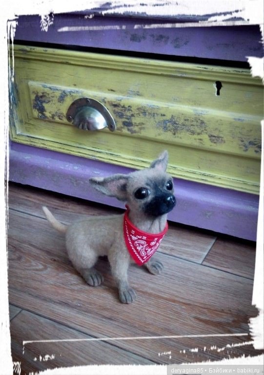 Чихуашка Ляля — Валяные игрушки из шерсти: сухое валяние (фото 5)