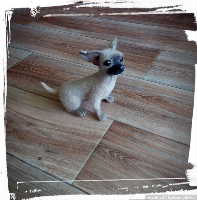 Чихуашка Ляля — Валяные игрушки из шерсти: сухое валяние (фото 10)