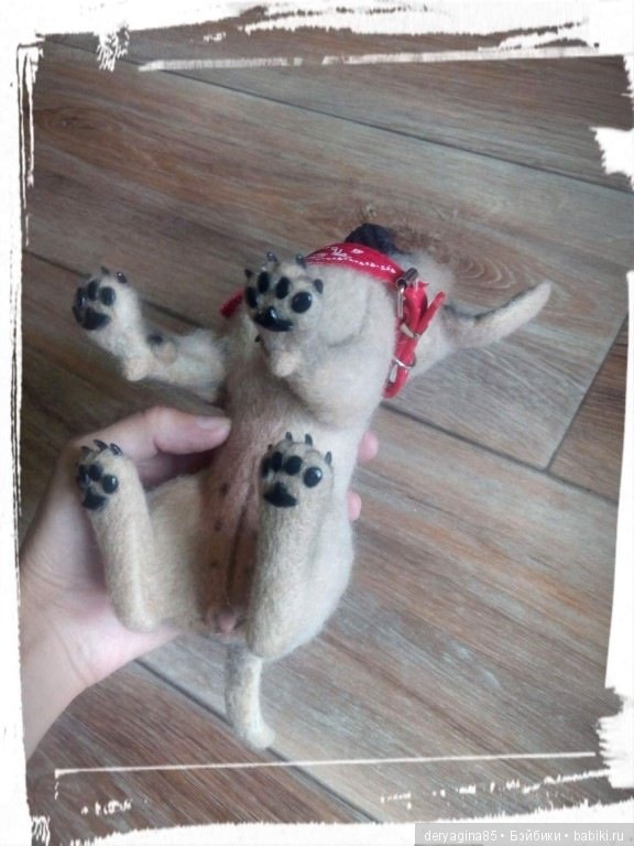 Чихуа — Валяные игрушки из шерсти: сухое валяние (фото 3)