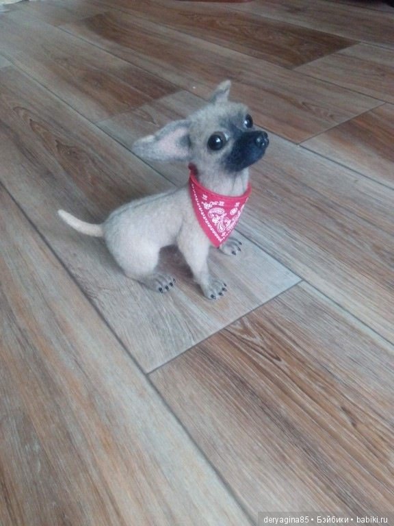 Чихуа — Валяные игрушки из шерсти: сухое валяние