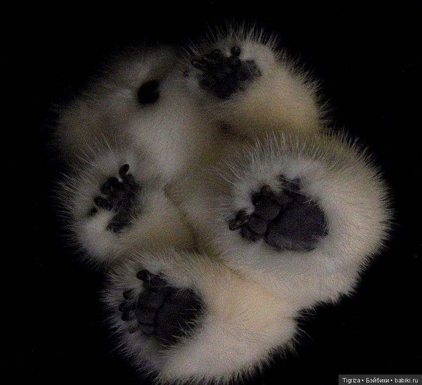 Умка номер — Авторские мишки Тедди и друзья: фото (фото 8)