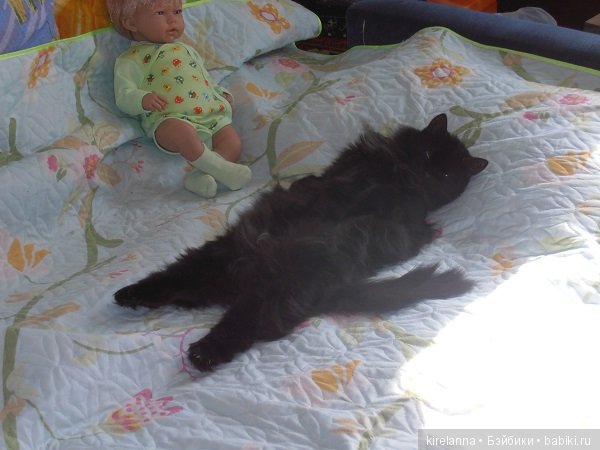 Франта, которая Моя Кошка (фото 6)