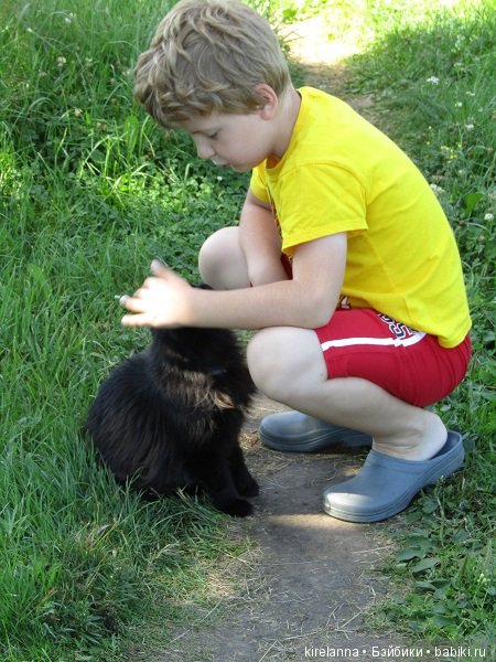 Франта, которая Моя Кошка