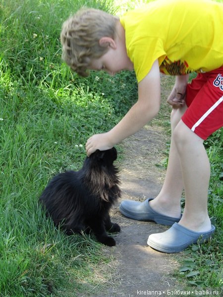 Франта, которая Моя Кошка