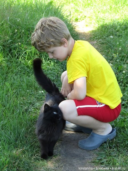 Франта, которая Моя Кошка