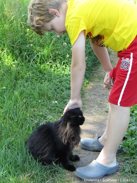 Франта, которая Моя Кошка