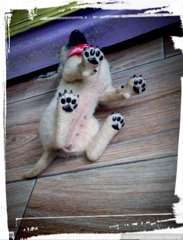 Йорик и чихуа — Валяные игрушки из шерсти: сухое валяние (фото 4)