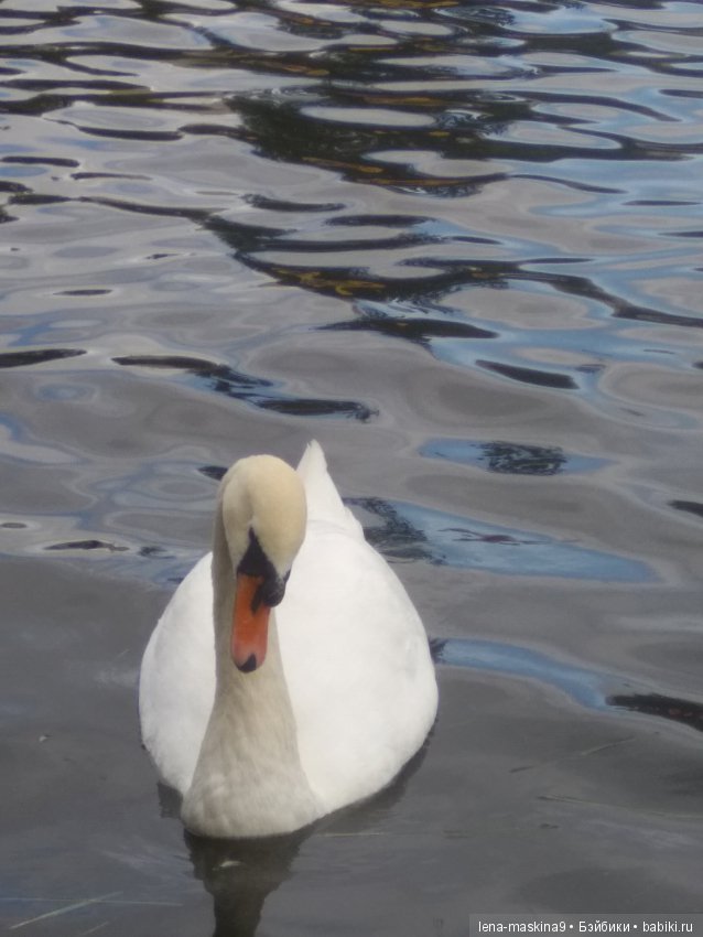 Осень, тёплые деньки. Парк, День города. Марселька (Антикварная куколка) на природе