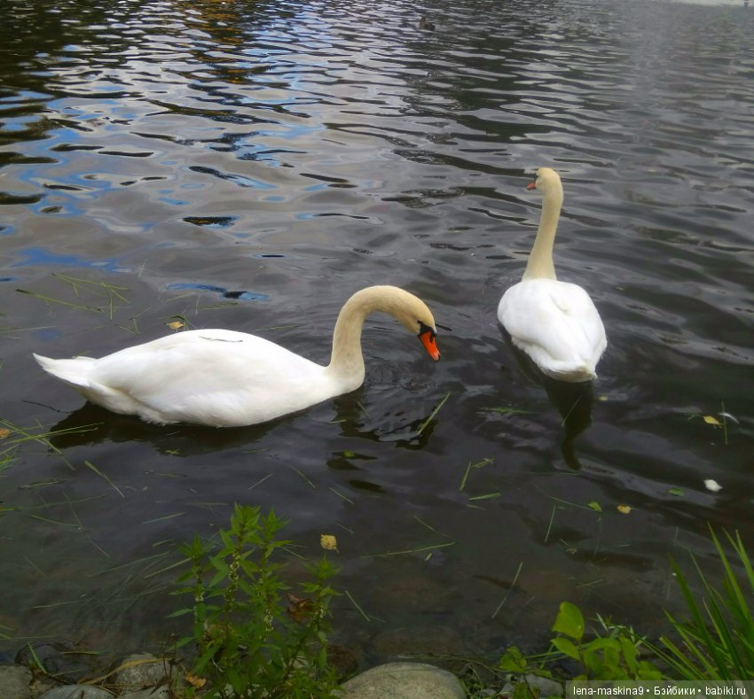 Осень, тёплые деньки. Парк, День города. Марселька (Антикварная куколка) на природе
