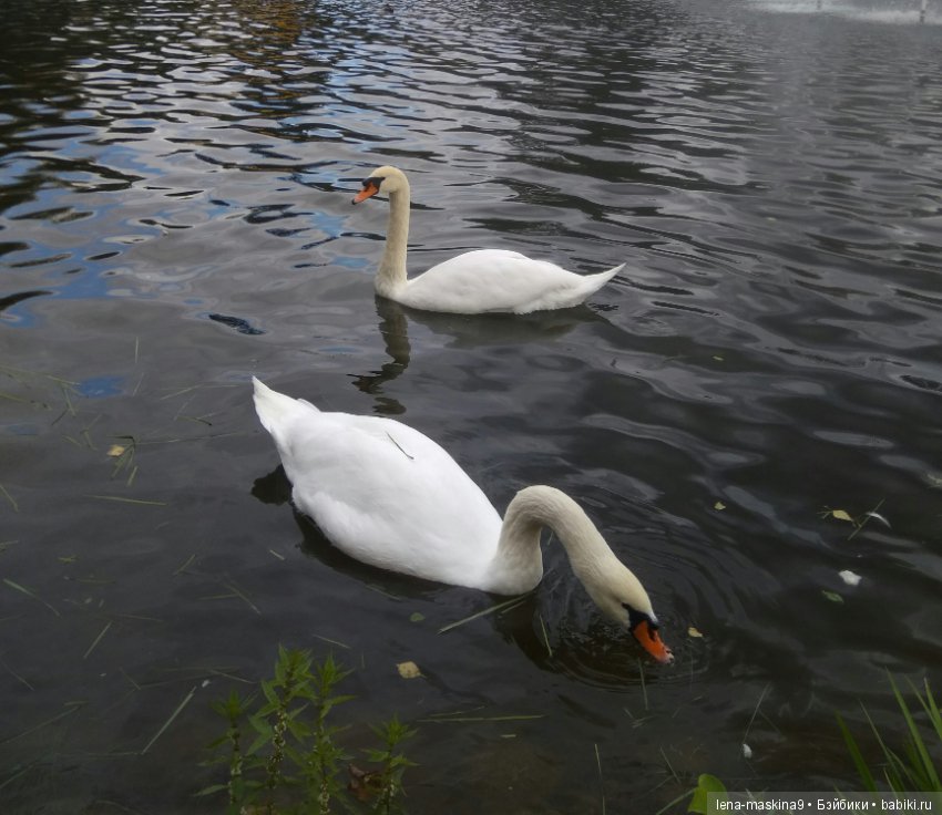 Осень, тёплые деньки. Парк, День города. Марселька (Антикварная куколка) на природе