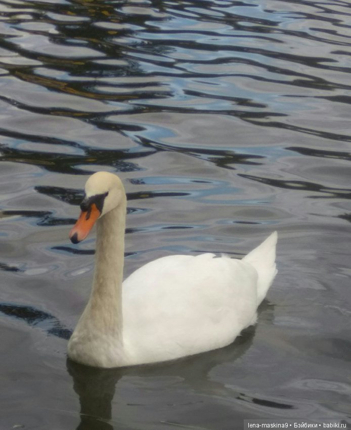 Осень, тёплые деньки. Парк, День города. Марселька (Антикварная куколка) на природе