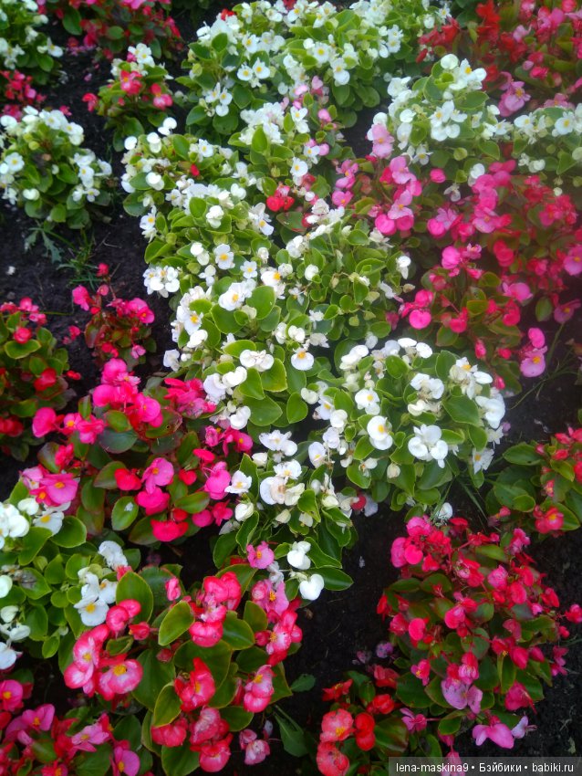 Осень, тёплые деньки. Парк, День города. Марселька (Антикварная куколка) на природе