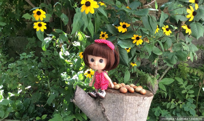 Карамелька mini mui chan в Крыму