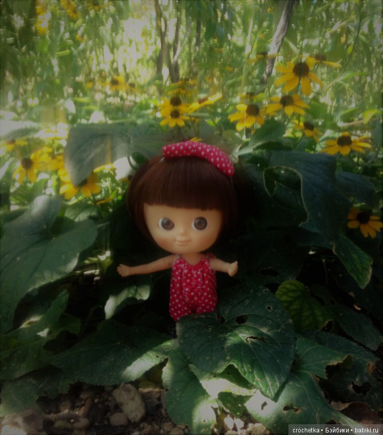 Карамелька mini mui chan в Крыму (фото 10)