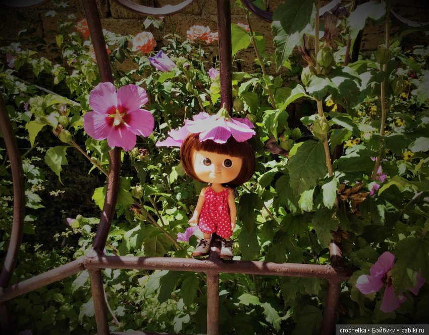 Карамелька mini mui chan в Крыму (фото 2)