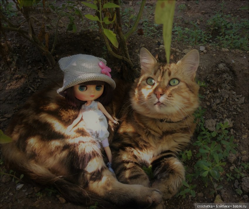 Карамелька mini mui chan в Крыму (фото 5)