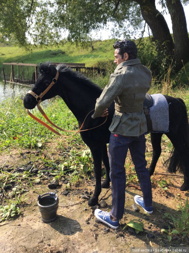 Фотоотчёт о верховой прогулке: сентябрь 2017 года (фото 7)