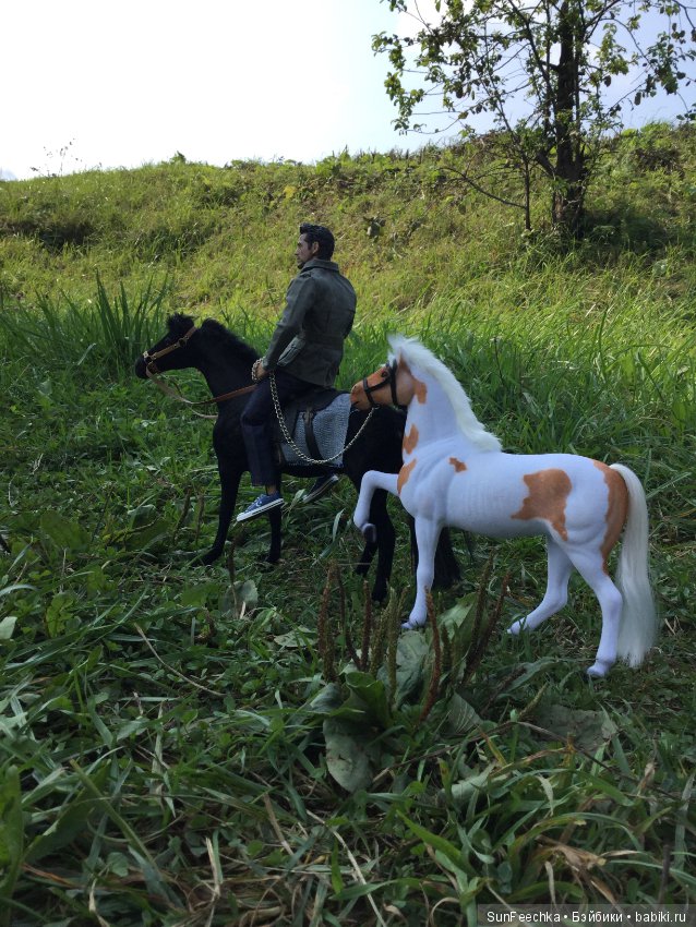 Фотоотчёт о верховой прогулке: сентябрь 2017 года