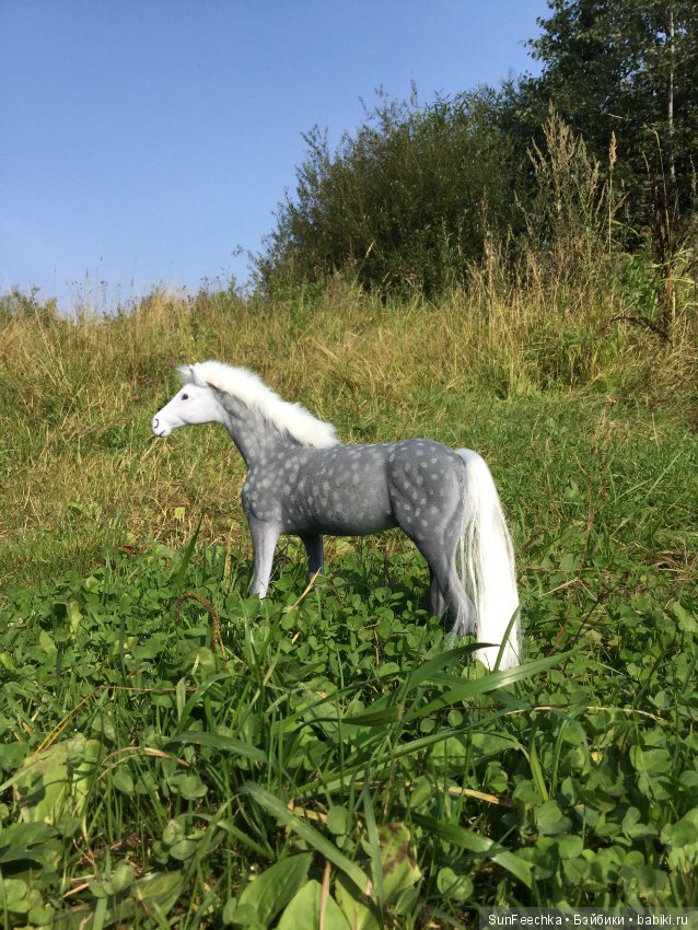 Фотоотчёт о верховой прогулке: сентябрь 2017 года (фото 3)