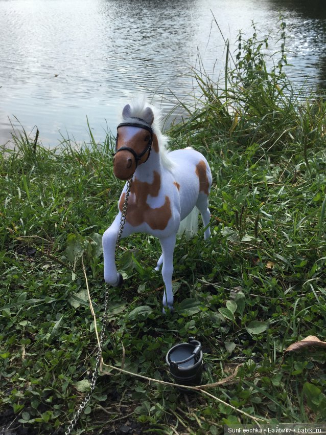 Фотоотчёт о верховой прогулке: сентябрь 2017 года