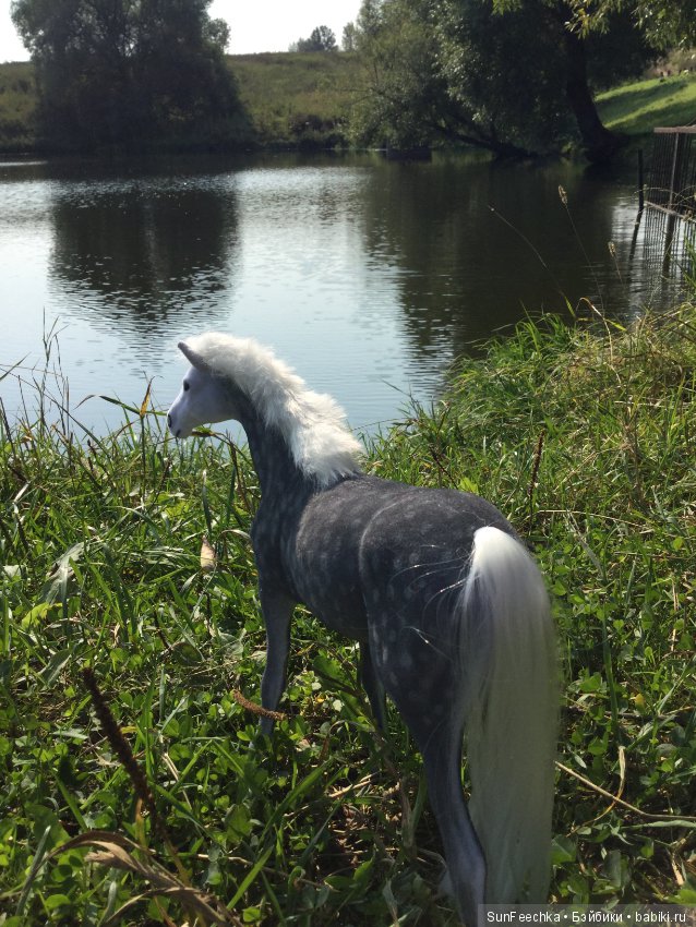 Фотоотчёт о верховой прогулке: сентябрь 2017 года (фото 4)