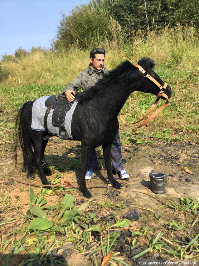 Фотоотчёт о верховой прогулке: сентябрь 2017 года (фото 9)