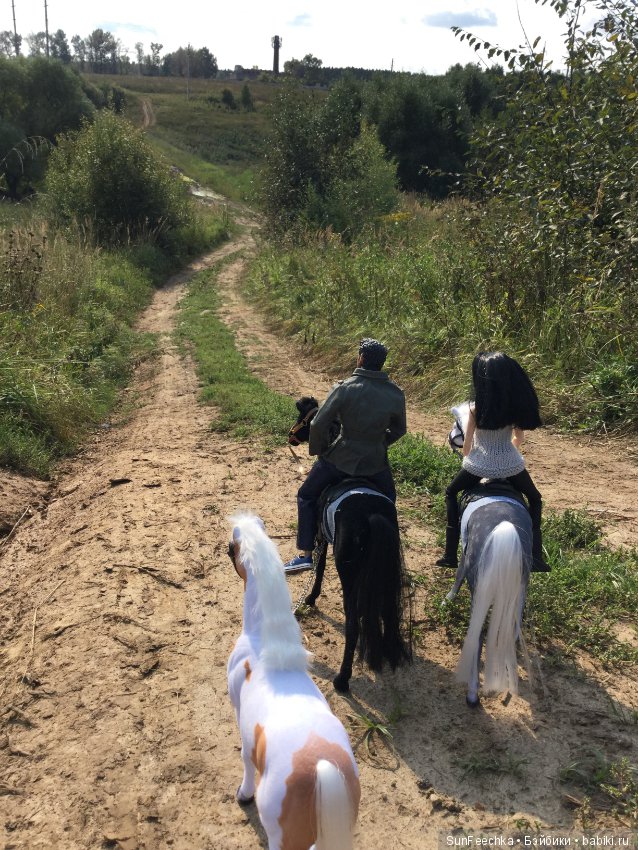 Фотоотчёт о верховой прогулке: сентябрь 2017 года