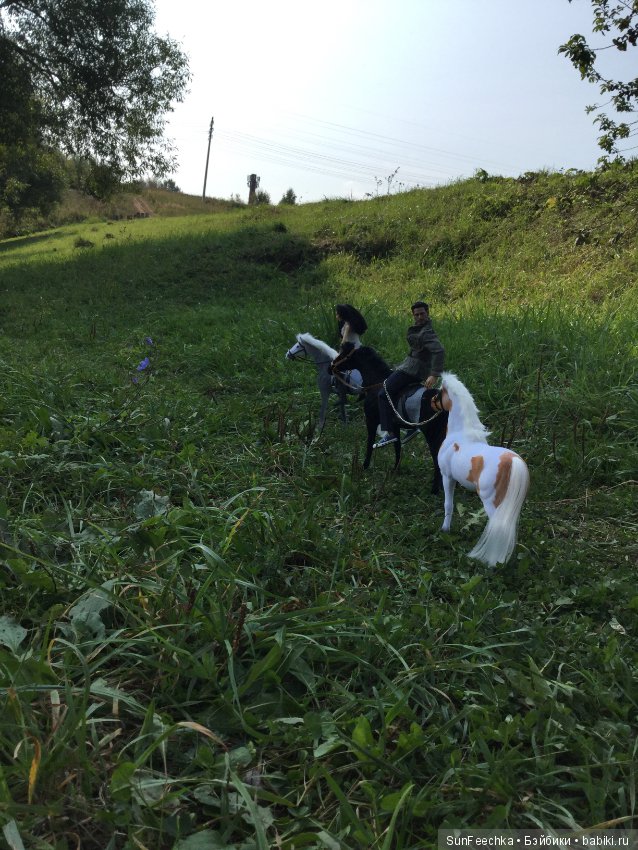 Фотоотчёт о верховой прогулке: сентябрь 2017 года