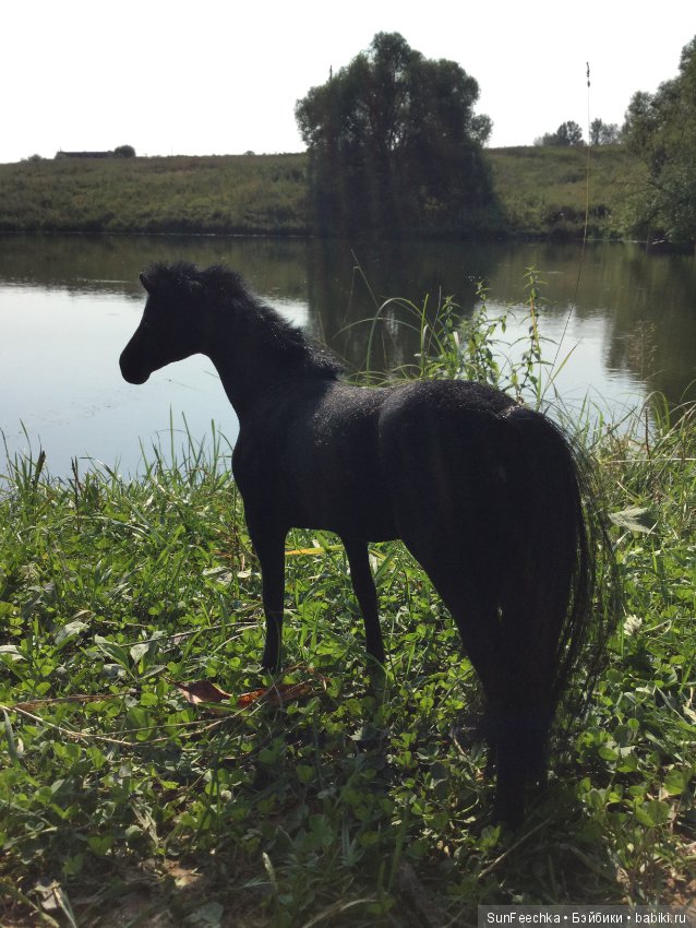 Фотоотчёт о верховой прогулке: сентябрь 2017 года (фото 2)