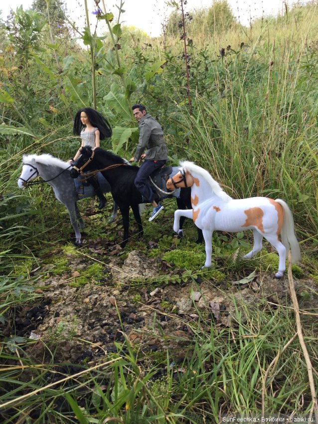 Фотоотчёт о верховой прогулке: сентябрь 2017 года