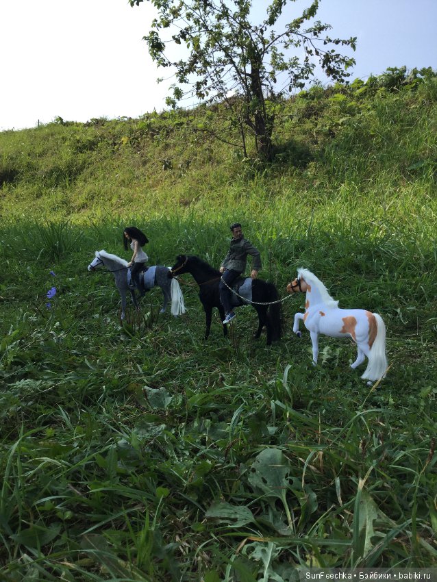 Фотоотчёт о верховой прогулке: сентябрь 2017 года
