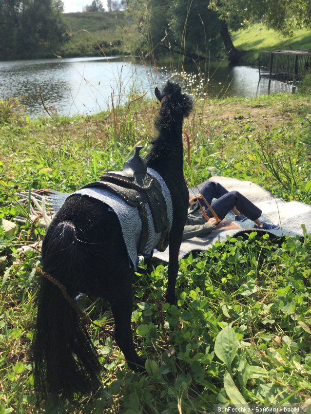 Фотоотчёт о верховой прогулке: сентябрь 2017 года