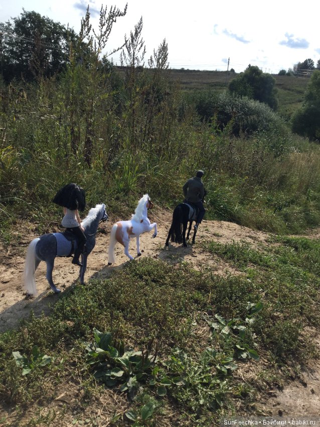 Фотоотчёт о верховой прогулке: сентябрь 2017 года