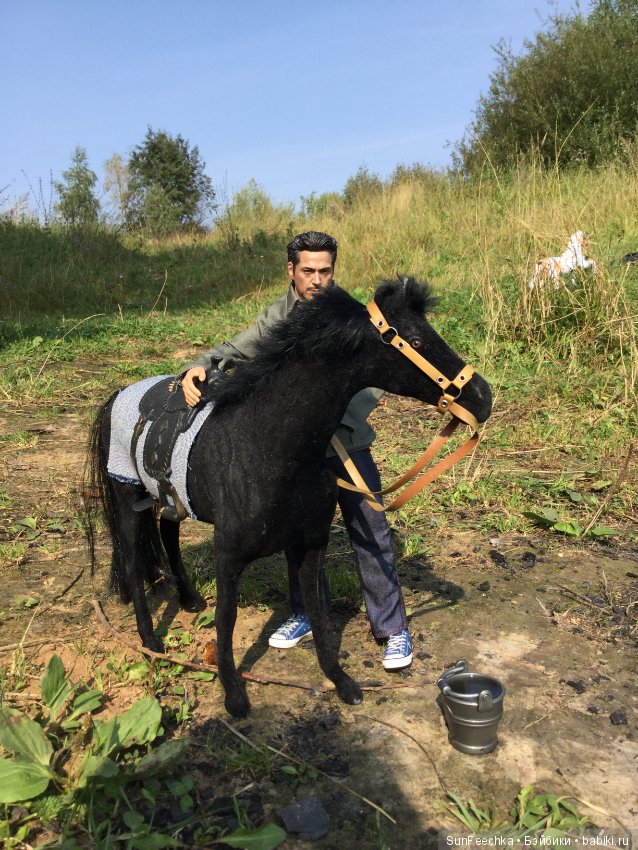 Фотоотчёт о верховой прогулке: сентябрь 2017 года (фото 8)