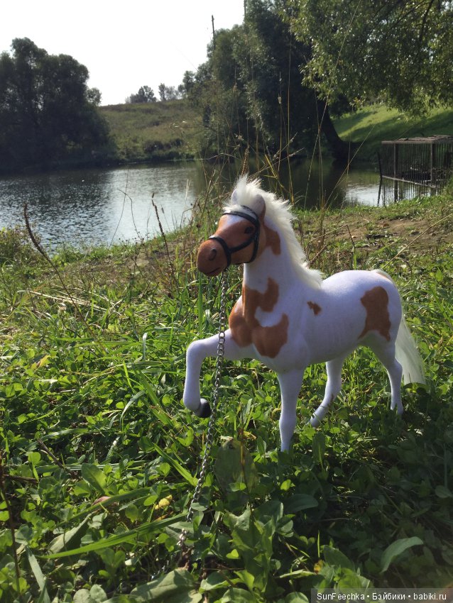 Фотоотчёт о верховой прогулке: сентябрь 2017 года (фото 6)