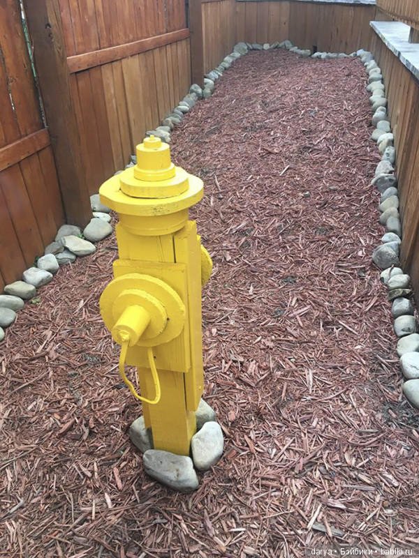 Игровая площадка с бассейном для собак (фото 6)