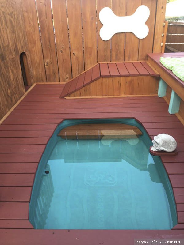 Игровая площадка с бассейном для собак (фото 5)