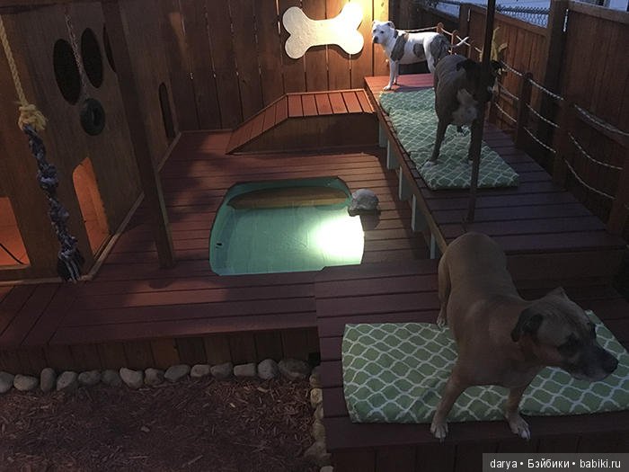 Игровая площадка с бассейном для собак (фото 8)