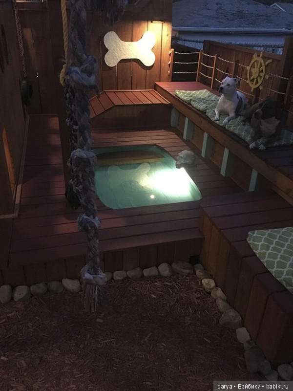 Игровая площадка с бассейном для собак (фото 7)