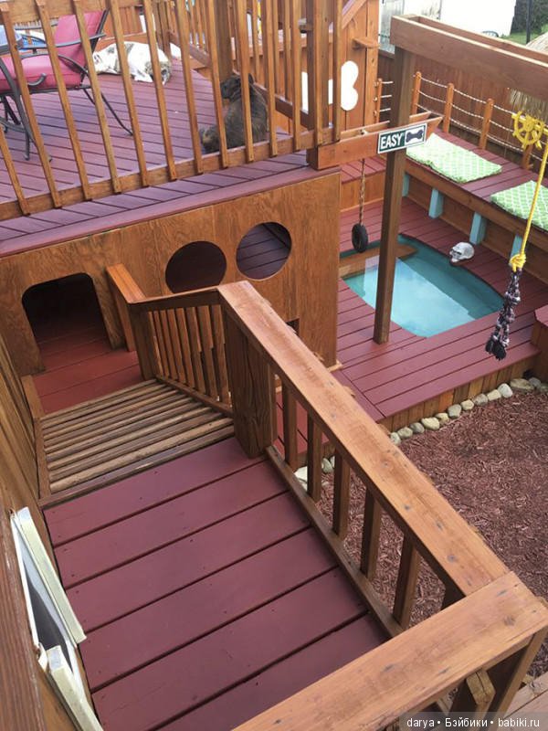 Игровая площадка с бассейном для собак (фото 4)