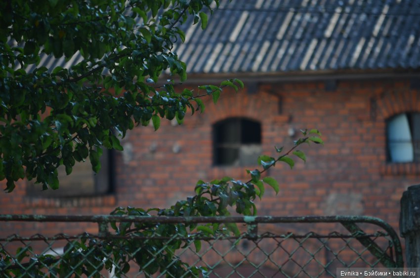 Окна нашего городка — Культура