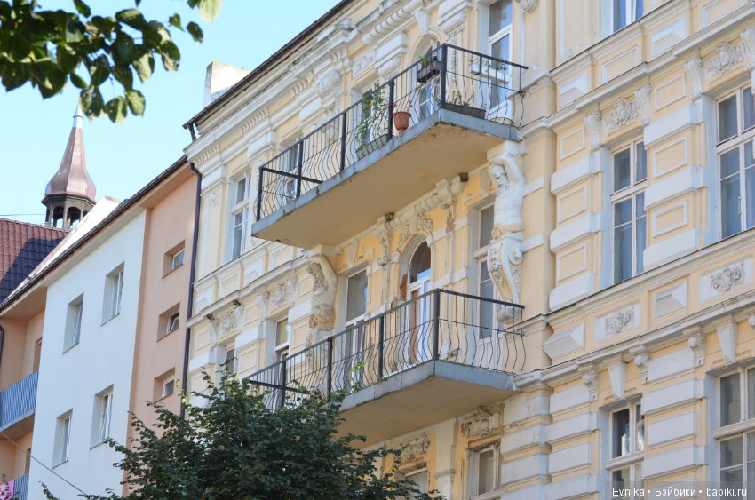 Окна нашего городка — Культура