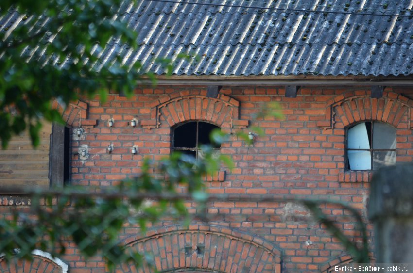 Окна нашего городка — Культура