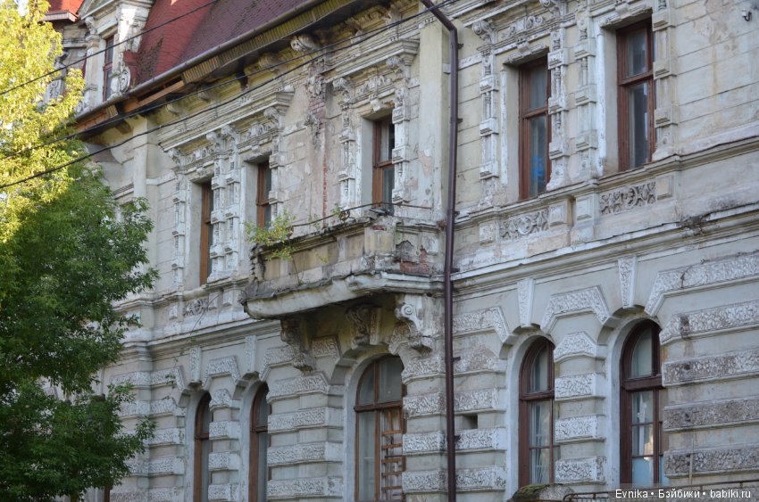 Окна нашего городка — Культура